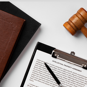 Assistência em Perícia Judicial